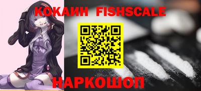 стафф Донецк