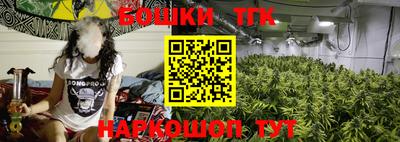 соль ск Дубна