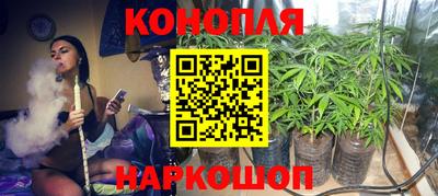 стафф Донецк