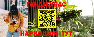 стафф Донецк