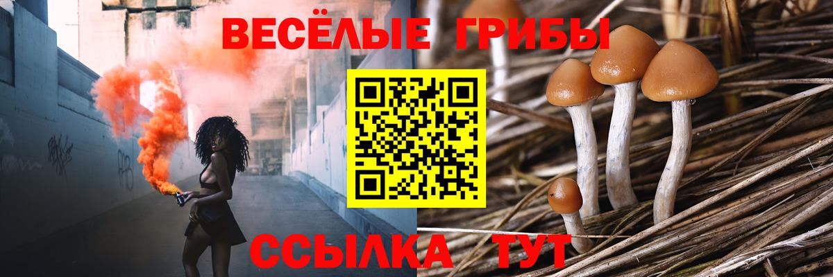 Ливны  Галлюциногенные грибы GOLDEN TEACHER  Вход с VPN 